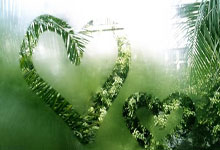 雷速直播-关于巴黎圣日耳曼发布备战花絮，关键时刻刷新队史纪录，国王杯任务艰巨，轮换策略成焦点的信息